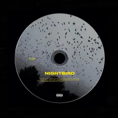 Nightbird - Single by EZOW album reviews, ratings, credits