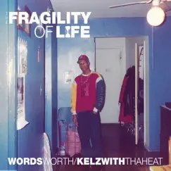 The Fragility of Life by Wordsworth & Kelzwithdaheat album reviews, ratings, credits