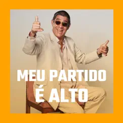 Meu Partido É Alto! by Zeca Pagodinho album reviews, ratings, credits