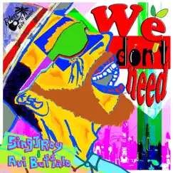 We Don't Need (feat. Avi Buffalo) Song Lyrics