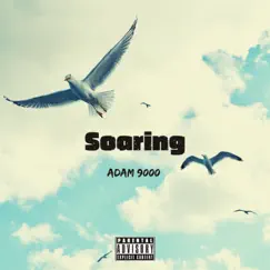 Soaring - Single by Adam 9000 album reviews, ratings, credits
