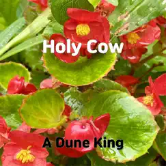 Holy Cow - Single by A Dune King album reviews, ratings, credits