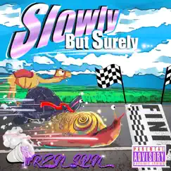 Slowly but Surely by RZN SVN album reviews, ratings, credits