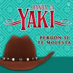 Perdón Si Te Molesta - Single by Banda La Yaki album reviews, ratings, credits