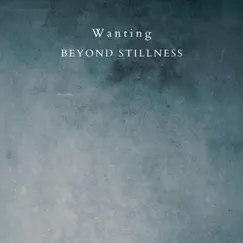 Wanting - Single by Beyond Stillness album reviews, ratings, credits