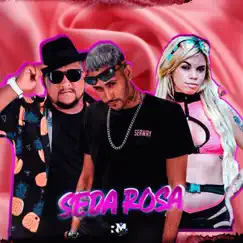 Seda Rosa (feat. Mc Nandinho) - Single by Mc Murilo do Recife & MC Fran album reviews, ratings, credits