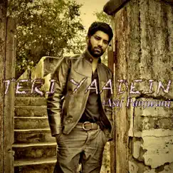 Teri Yaadein - Single by Altamash Faridi album reviews, ratings, credits