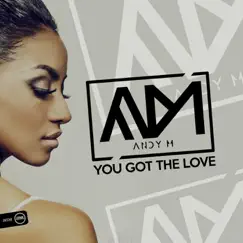 You Got the Love - Single by Andy M album reviews, ratings, credits