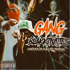 Gang Blakktivities (feat. IvanThaP) Song Lyrics