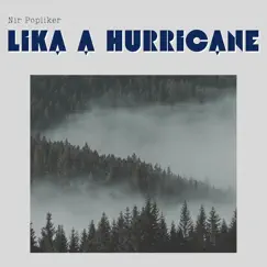 Like a Hurricane - Single by Nir Popliker album reviews, ratings, credits