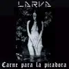 Carne Para La Picadora album lyrics, reviews, download