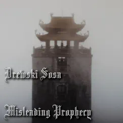 Misleading Prophecy (Instrumental) - Single by Drewski Sosa album reviews, ratings, credits