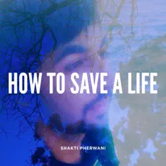 How To Save a Life (Piano Version) - Single by Shakti Pherwani album reviews, ratings, credits