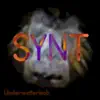Synt album lyrics, reviews, download