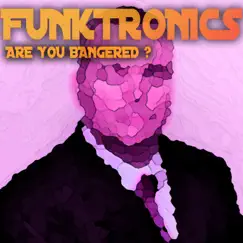 Are You Bangered @ Tomorrowland ? - Single by The Funktronics album reviews, ratings, credits