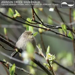 Johnson Creek Soundwalk by Chad Crouch album reviews, ratings, credits