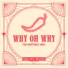 Why Oh Why (The B*******e Song) - Single album lyrics, reviews, download