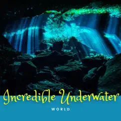Incredible Underwater World by Underwater Zone, Nature Sounds XLE Library & Life Sounds Nature album reviews, ratings, credits