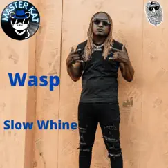 Slow Whine (feat. Mark Topsecret) - Single by Wasp & Masterkat album reviews, ratings, credits