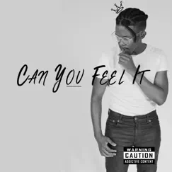 Can you feel It - Single by Mr Lover Man album reviews, ratings, credits