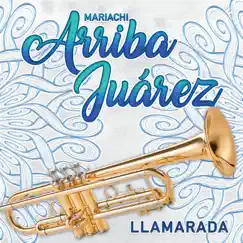 Llamarada - Single by Mariachi Arriba Juárez album reviews, ratings, credits
