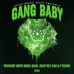 Gang Baby (feat. Rojay MLP & RJAE) Song Lyrics