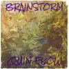 Brainstorm - Single album lyrics, reviews, download