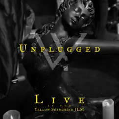 Despair (Unplugged at Yellow Submarine JLM) [Live] Song Lyrics