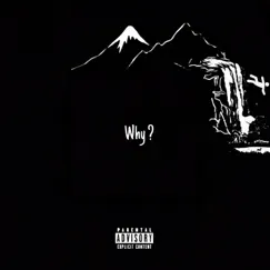Why? - Single by Xavy album reviews, ratings, credits