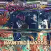 Haunted Woods (feat. Rirugiliyangugili) - Single album lyrics, reviews, download