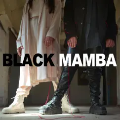 Black Mamba - Single by Shazta album reviews, ratings, credits