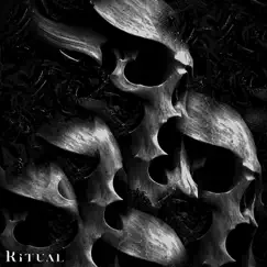 Ritual - Single by Damori album reviews, ratings, credits