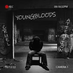 On My Own - Single by Youngbloods album reviews, ratings, credits