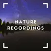 Collection of Waterfalls album lyrics, reviews, download