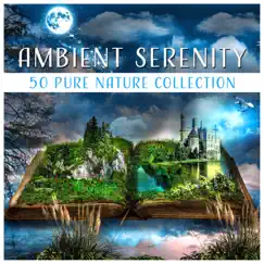 Serenity Instrumental Music Song Lyrics