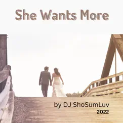 She Wants More - Single by DJ ShoSumLuv album reviews, ratings, credits