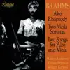 Brahms: Works album lyrics, reviews, download