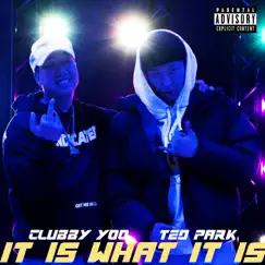 It is what it is (feat. Ted Park) Song Lyrics