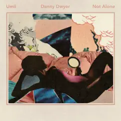 Not Alone (Danny Dwyer Remix) Song Lyrics