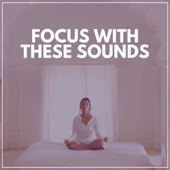 Focus with These Sounds by Interstellar Meditation Music Zone album reviews, ratings, credits