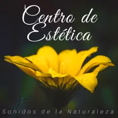 Centro de Estética - Sonidos de la Naturaleza, Música de Fondo Relajante New Age by Libertad Maestro album reviews, ratings, credits