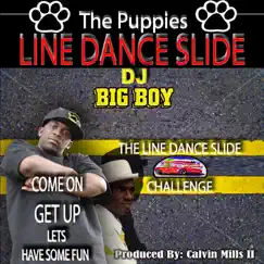 Line Dance Slide (feat. DJ Big Boy) - Single by The Puppies album reviews, ratings, credits