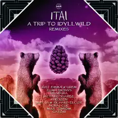 A Trip to Idyllwild Remixes - Single by Dandara album reviews, ratings, credits