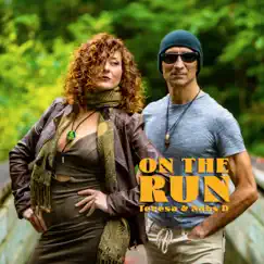 On the Run - Single by Nabs D & Teresa album reviews, ratings, credits