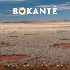 Strange Circles by Bokanté album reviews, ratings, credits