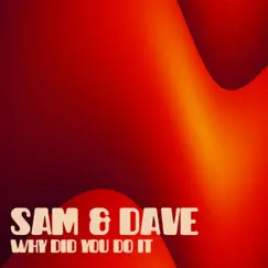 Why Did You Do It - Single by Sam & Dave album reviews, ratings, credits