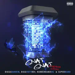 Gnat Gnat (Get On Remix) [feat. Rubberband OG, Super Nard & Bigga Rankin] - Single by Bigg Hott album reviews, ratings, credits