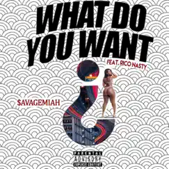 What Do You Want (feat. Rico Nasty) - Single by Savagemiah album reviews, ratings, credits