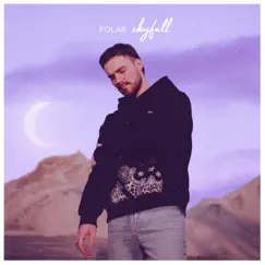 Skyfall - Single by Polar album reviews, ratings, credits