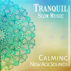 Tranquil Slow Music - Calming New Age Sounds: Osho Oasis Meditation, Spirit of Sacred Meditation by Thinking Music World album reviews, ratings, credits